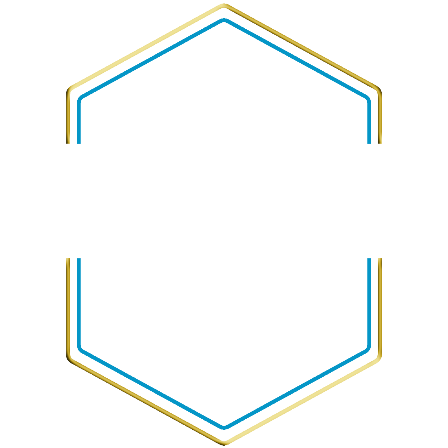 The NYPAA Experience